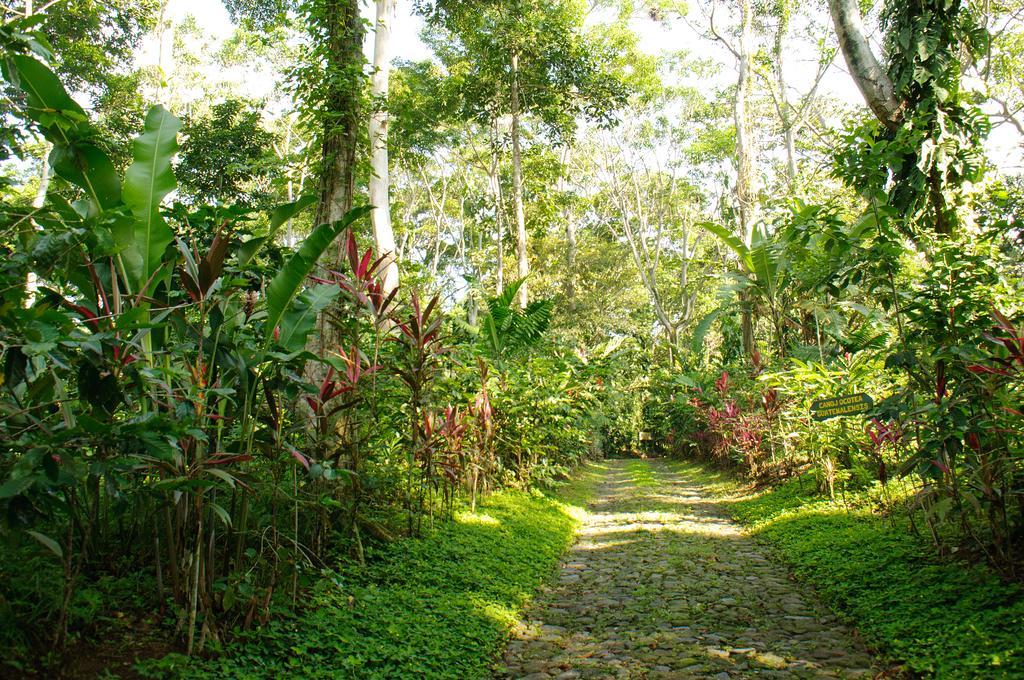 Takalik Maya Lodge El Asintal Ngoại thất bức ảnh