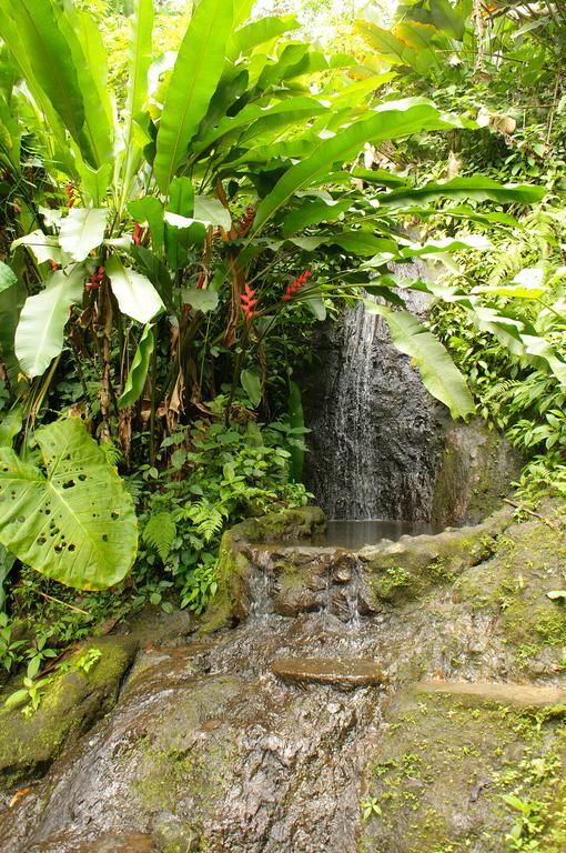 Takalik Maya Lodge El Asintal Ngoại thất bức ảnh