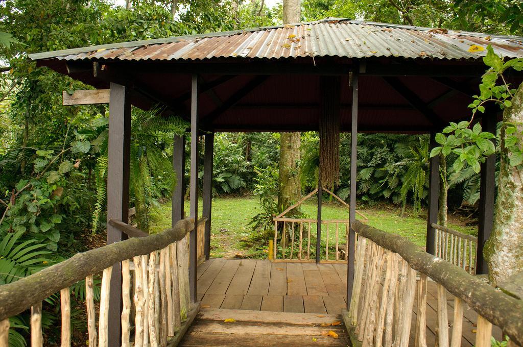 Takalik Maya Lodge El Asintal Ngoại thất bức ảnh