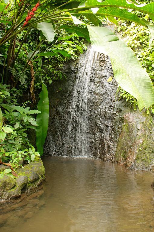 Takalik Maya Lodge El Asintal Ngoại thất bức ảnh