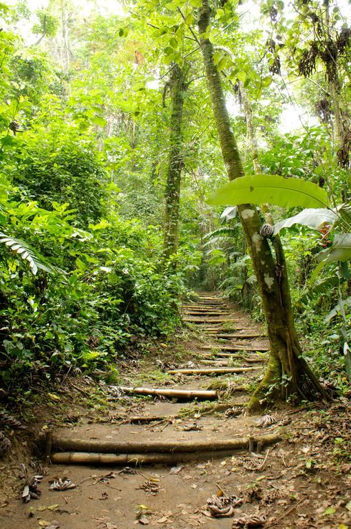 Takalik Maya Lodge El Asintal Ngoại thất bức ảnh