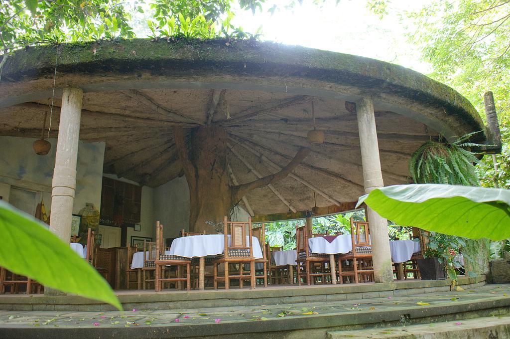 Takalik Maya Lodge El Asintal Ngoại thất bức ảnh