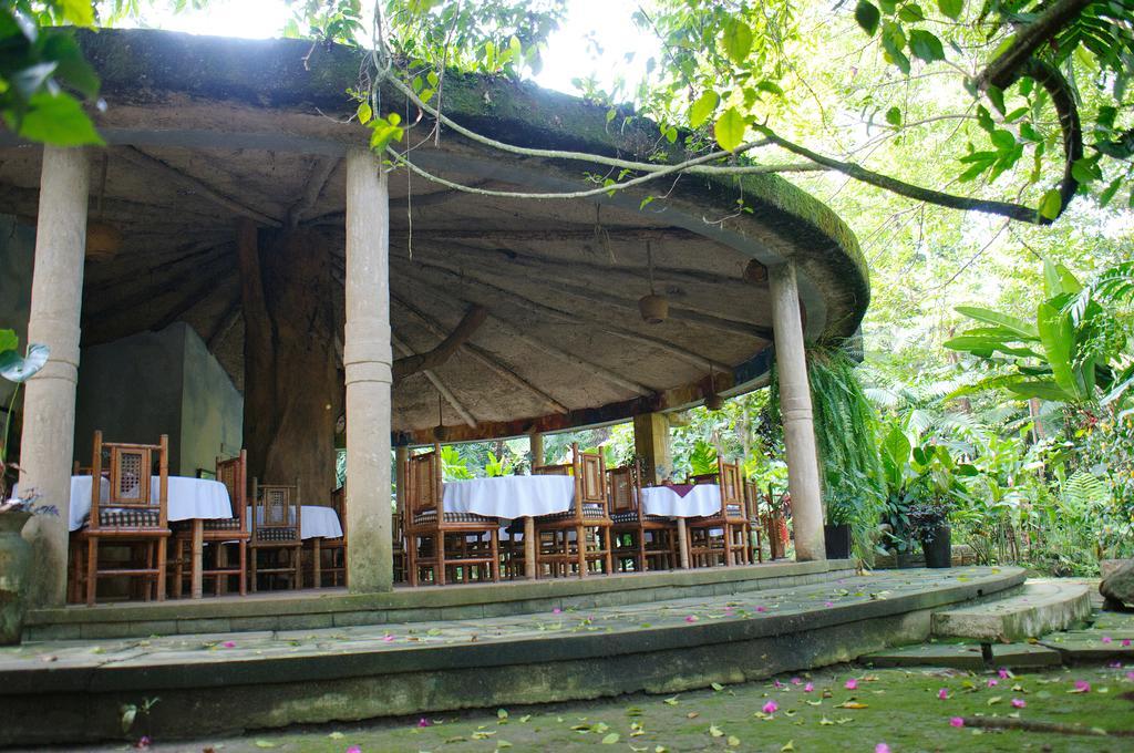 Takalik Maya Lodge El Asintal Ngoại thất bức ảnh